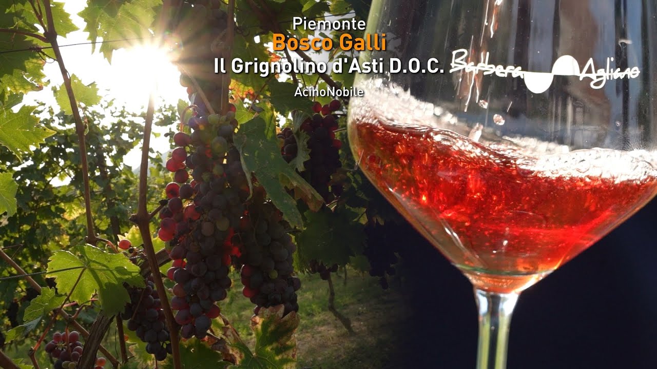 🍇 GRIGNOLINO D'ASTI: E VOI LO AMATE O LO ODIATE?
