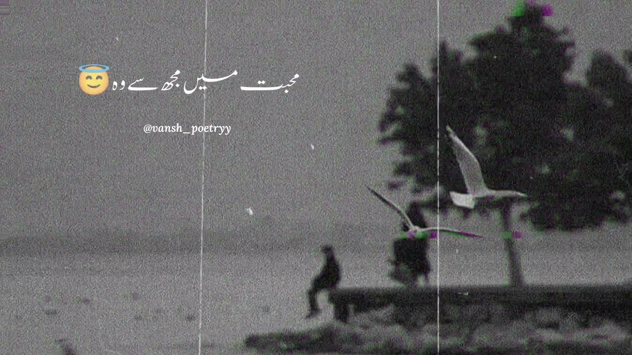 Poetry Video ❤️‍🩹🕋🕊️ || Long Video |Best_Lines_Status_video__vansh_poetryy__|| Urdu poetry #poetry 