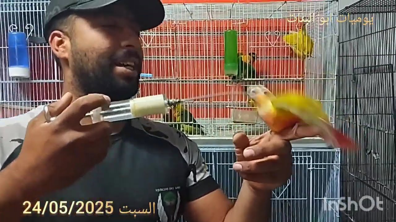 جولة عند الاخ ياسين المكناسي #اثمنة_الطيور #نصائح مهمة في الجزء الثاني  #الجزء_الاول
