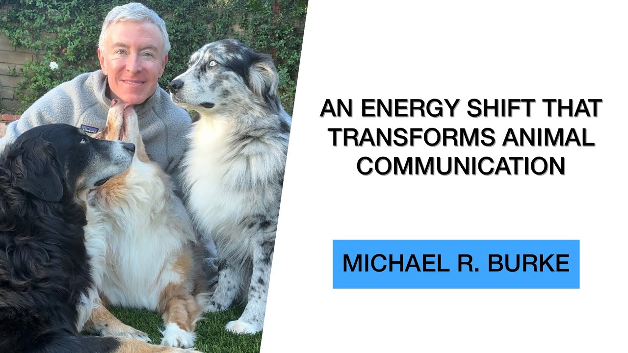 An Energy Shift That Transforms Animal Communication If You’re Asking “What’s Wrong With My Pet?”