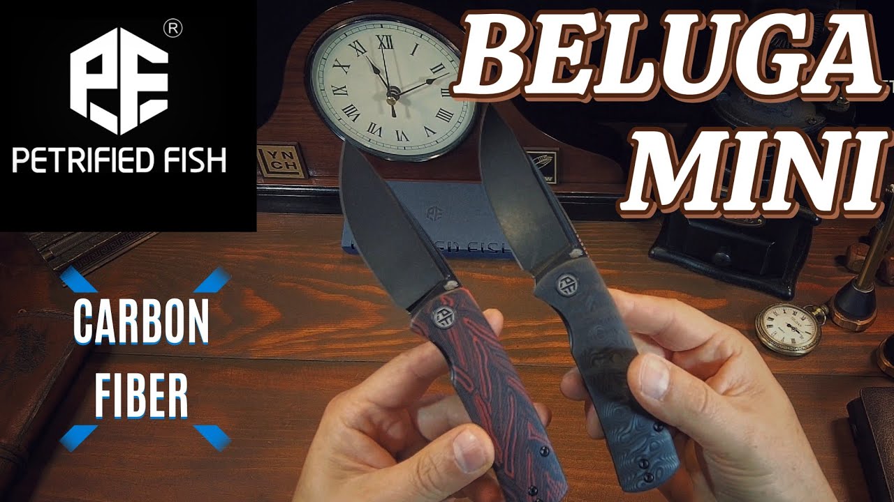 BELUGA MINI - ¿La navaja EDC perfecta?FIBRA DE CARBONO 🔥 Petrified Fish Knives|EVERYDAY CARRY 👌🏻