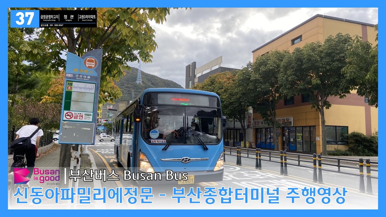 [부산버스] 37 (신동아파밀리에정문 - 부산종합터미널.노포역)