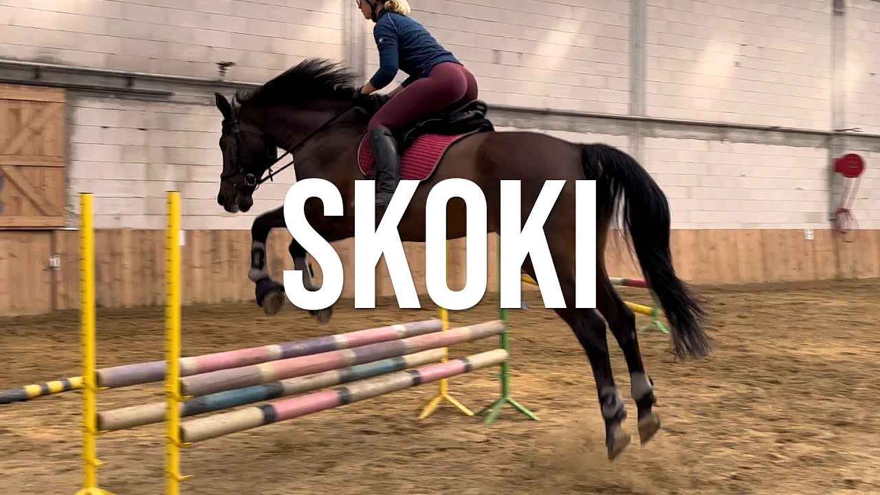 Drągi po łuku i mały parkur - Trening skokowy z komentarzem #12