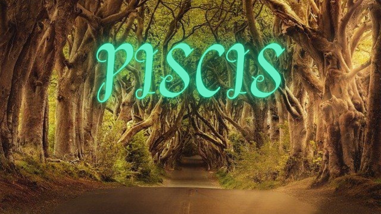 PISCIS SEGÙN LAS CARTAS🎴✨EL ORO LLEGA A TU VIDA UNA PERSONA TE BUSCA Y LA ALEGRÌA EXPLOTA EN TU VIDA