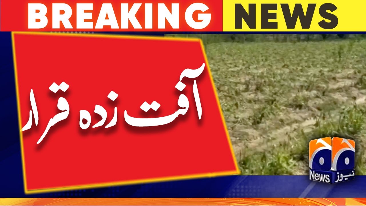 Bajaur | Rain | Disaster declared | 29th May 2023