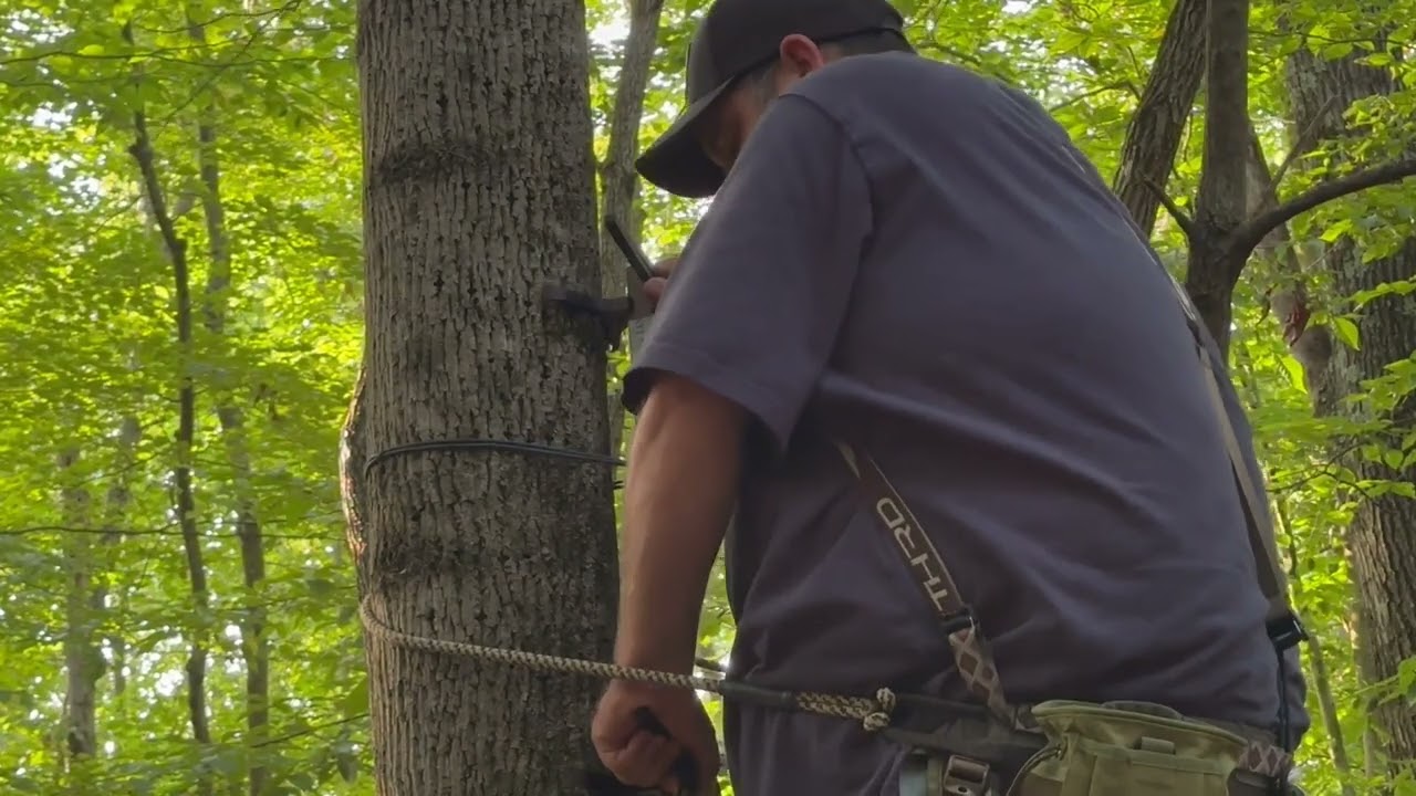 Beast stick cable aiders and how to climb