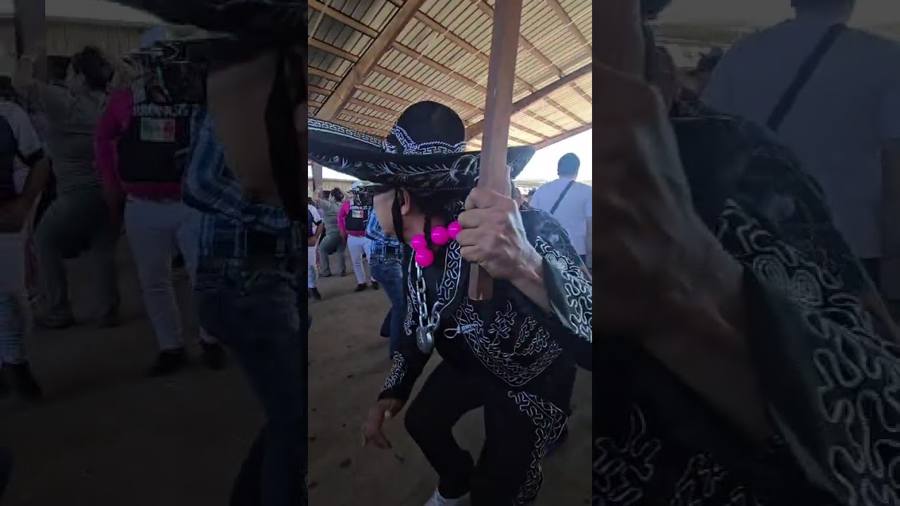 Bailes pulga de alamo