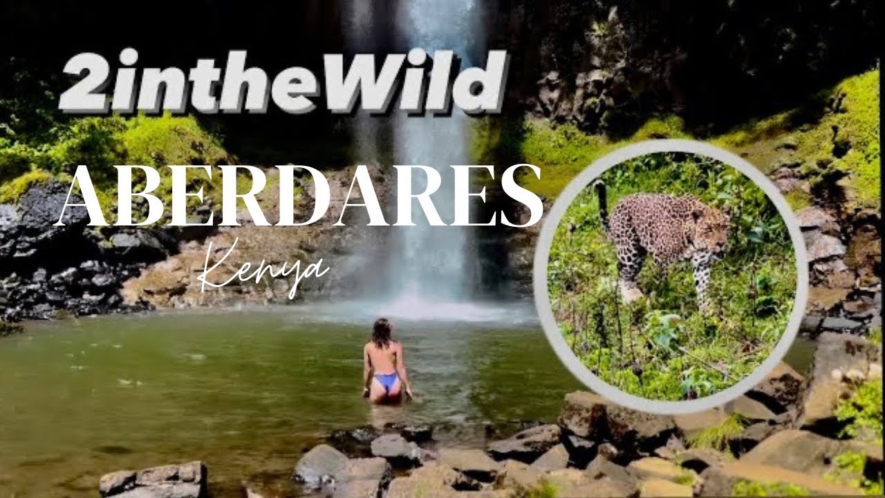 Wild camping in Kenya  with elephants and leopards (ASMR wild birds, relaxatiog, cooking) ep.1