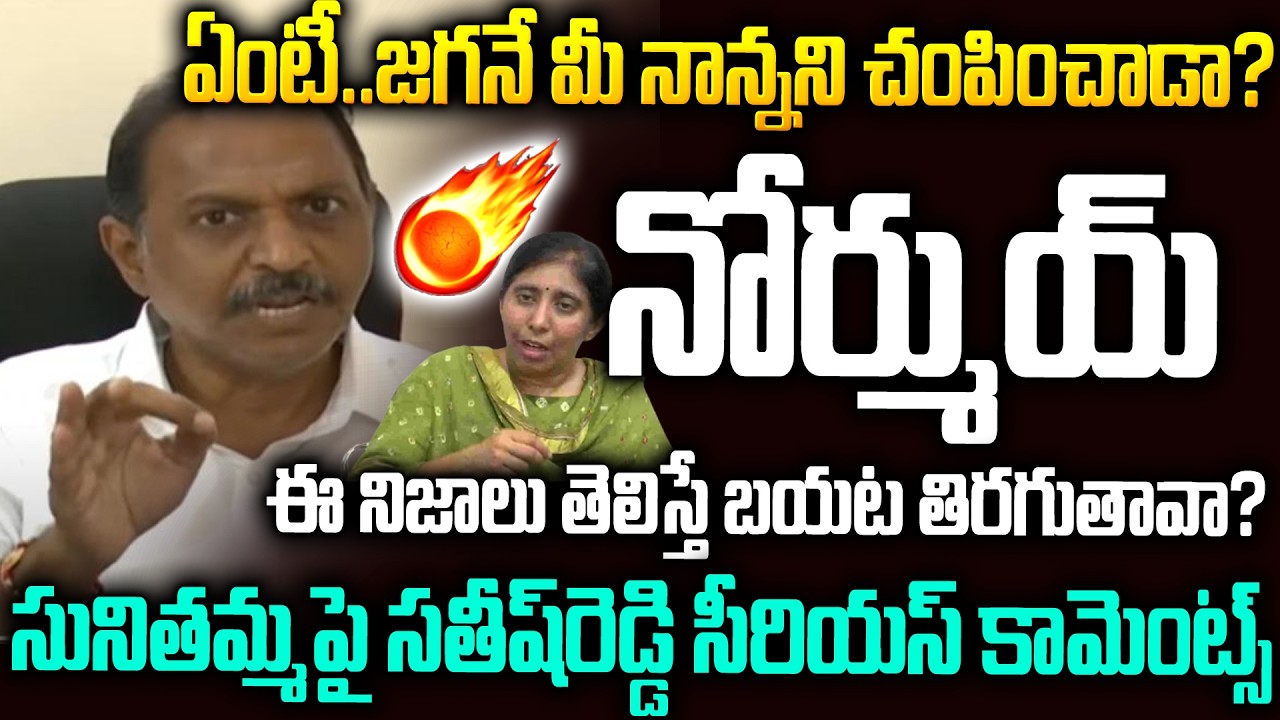 ఇన్నాళ్లు కడుపులో దాచుకున్న నిజం ఇది..సునీత మ్యాటర్ లీక్ చేసిన సతీష్ రెడ్డి #yssunitareddy #ysjagan