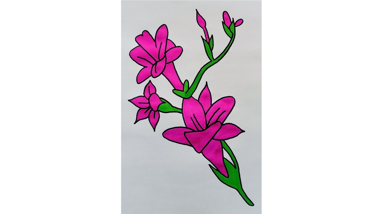 Easy Drawing of Freesia Flower || Learn How to Draw a Flower ||