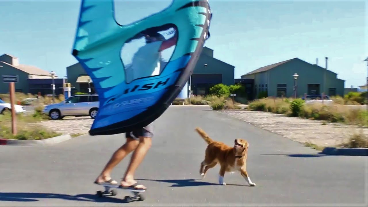 Wing Skate:  Skateboarding on a breeze