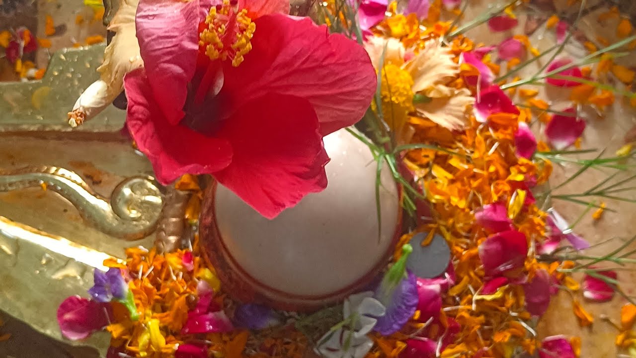 Sanatan Bhaakti Blog 456#Sanatan bhaakti Songs Sanatan bhaakti Video#Sanatan Viral bhakti Video