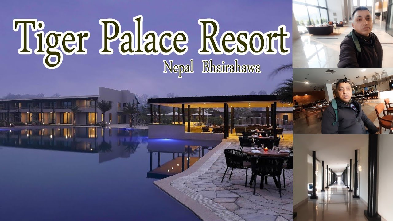Tiger Palace Resort ||Best 5 Star Luxury Hotel  Nepal || Vlog