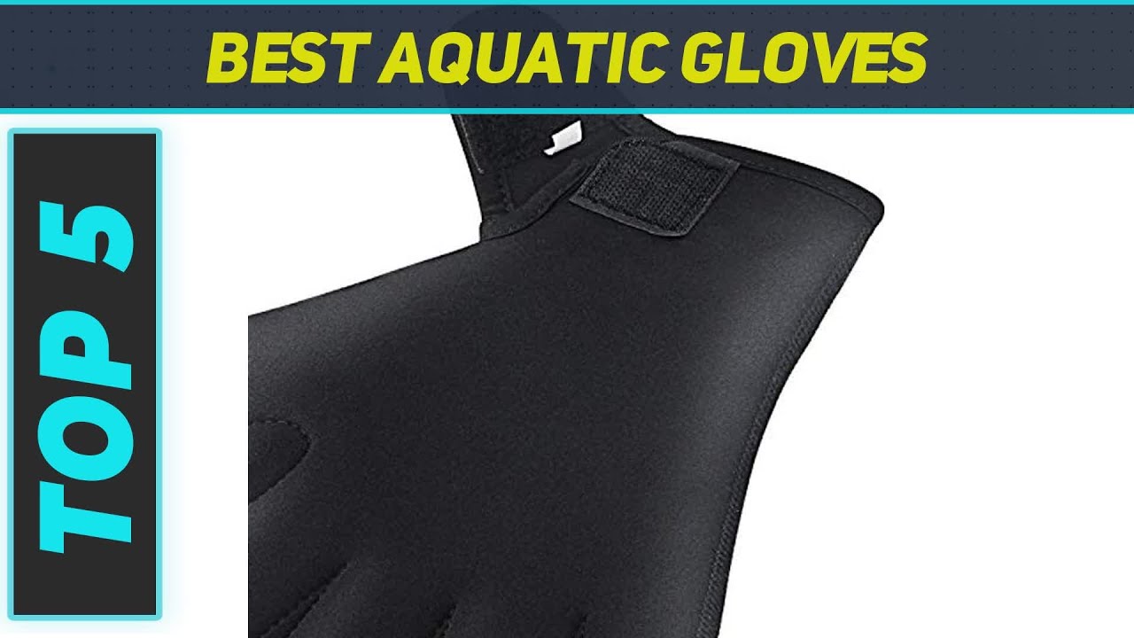 Top 5 Best Aquatic Gloves 2023