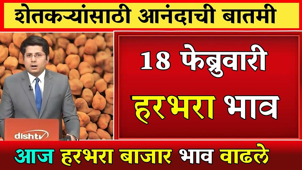 हरभरा दरात मोठी वाढ? पहा आजचे ताजे बाजारभाव | कोणत्या मार्केटमध्ये मिळाला सर्वाधिक दर? #बाजारभाव