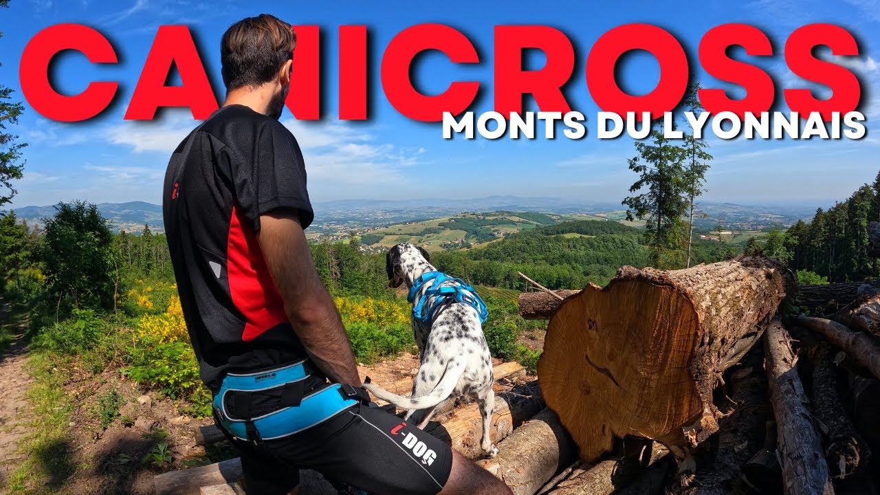 CANICROSS DES MONTS DU LYONNAIS