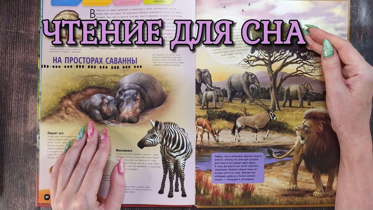 Чтение для сна и мурашек, АСМР близкий шепот • ASMR книга о животных, релаксация, мурашки