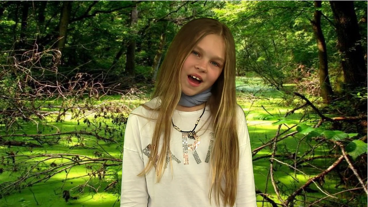 Jožin z bažin