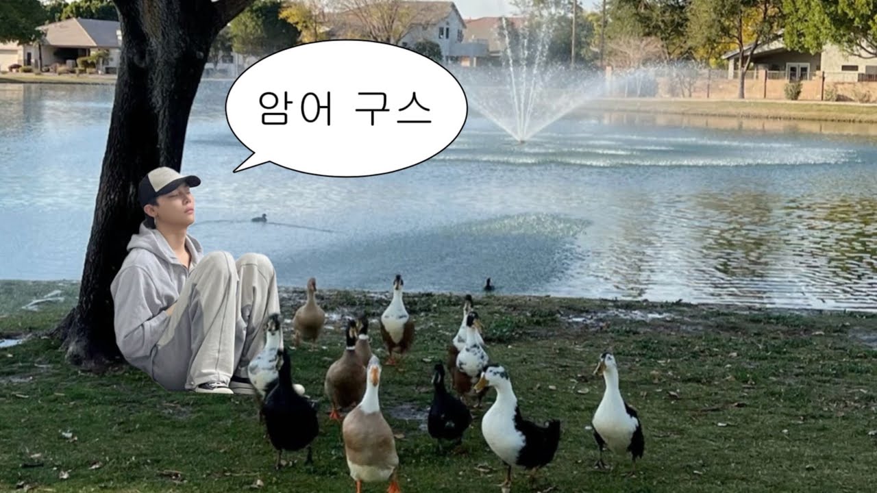 온 세상이 내 집
