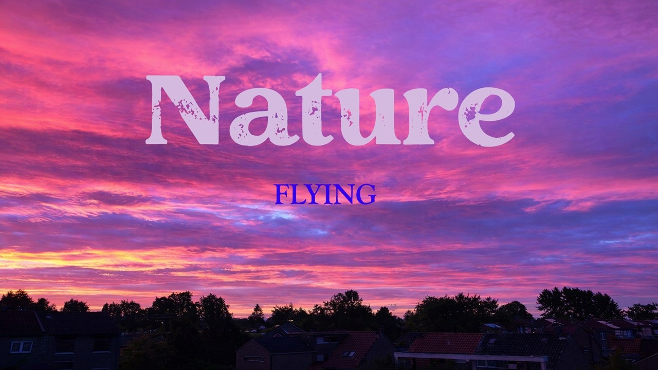 Nature ( Lyrics ) - FYING ( Official )