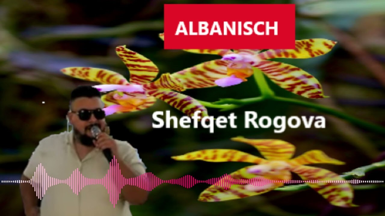 Shefqet Rogova  - HIT Tallava 2014-2025 Per Adnanin #402