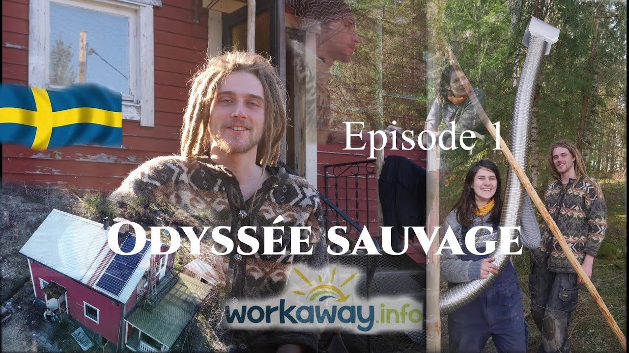 Odyssée Sauvage Épisode 1 : Workaway en Suède,  en quête d'autonomie.