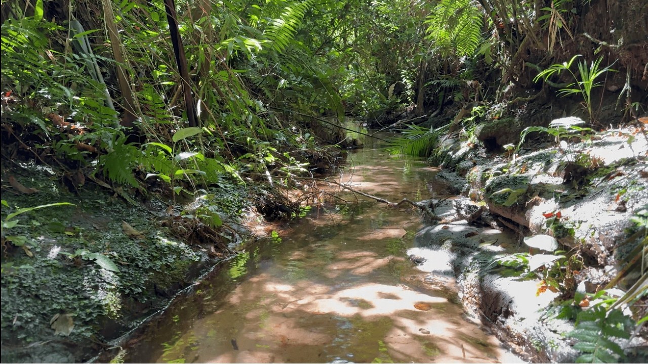 CHÁCARA DE 12.500M² - AS MARGENS DA MARECHAL RONDON EM BOFETE/SP - R$499.000,00