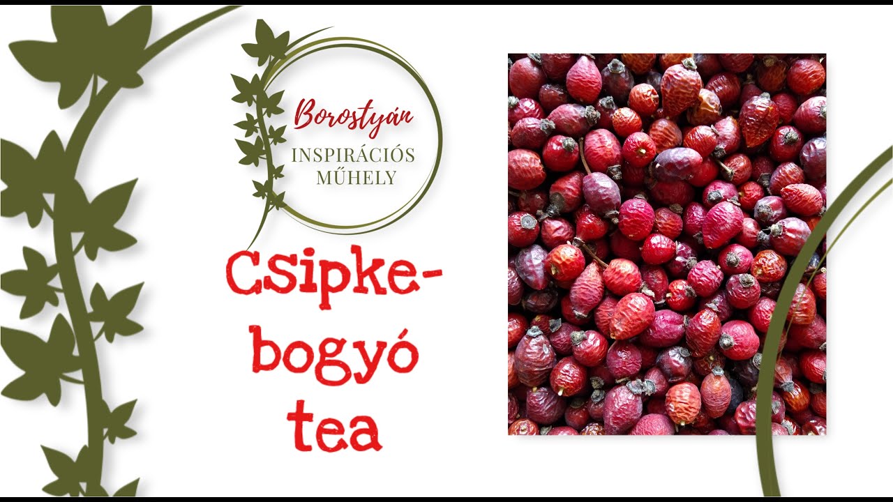 Csipkebogyó tea készítése