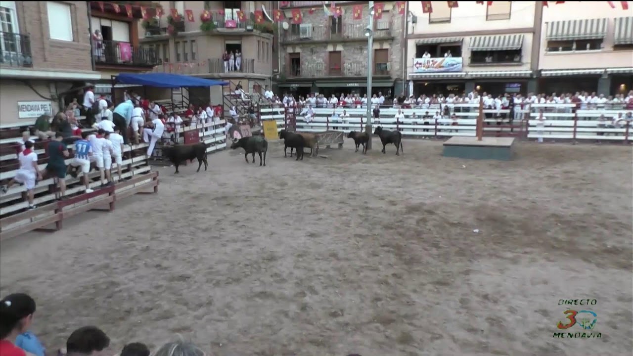 Mendavia, Fiestas 2025, Festejo Popular, 28/08/25