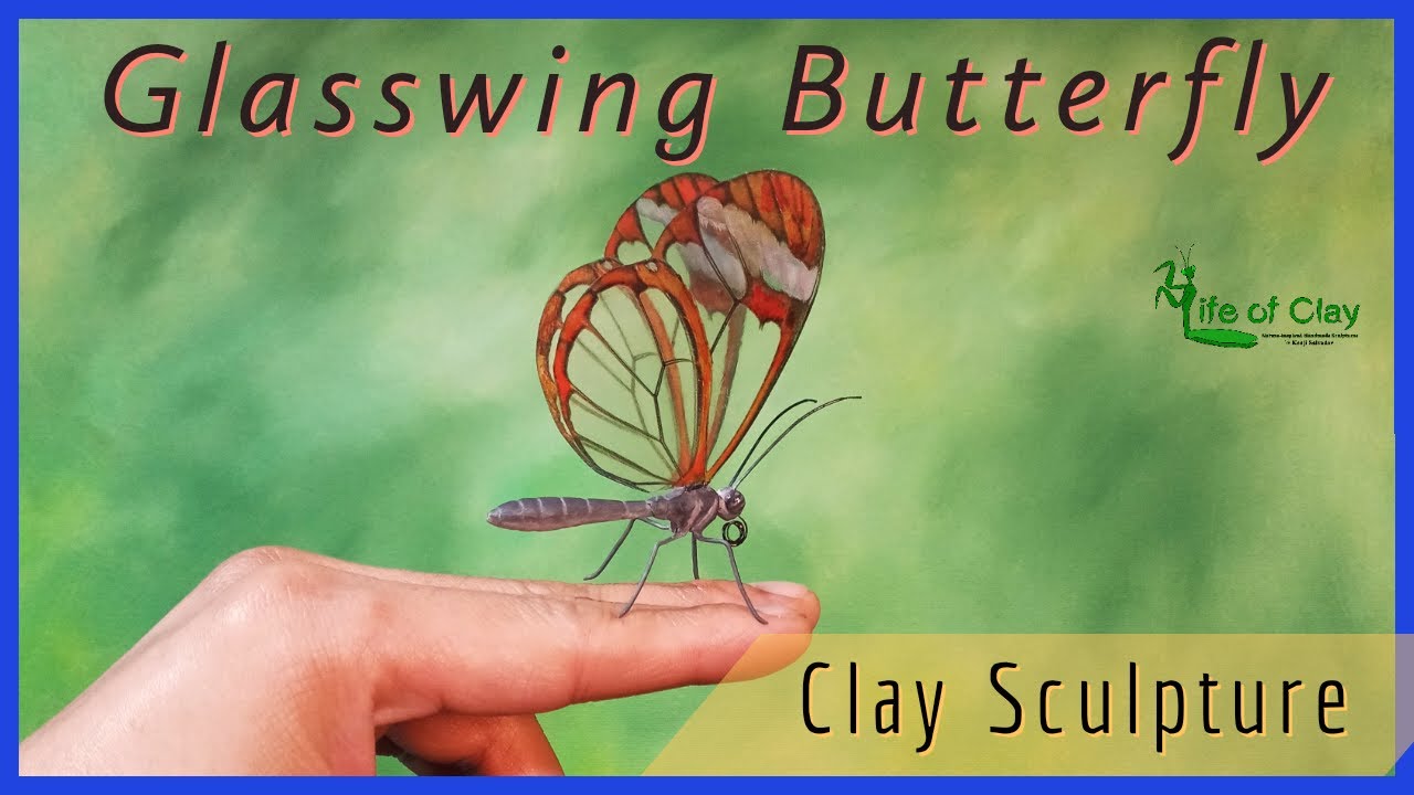 Sculpting  Glasswing Butterfly _ Greta oto _Polymer Clay_ Making Insect Wings _ @LifeofClay