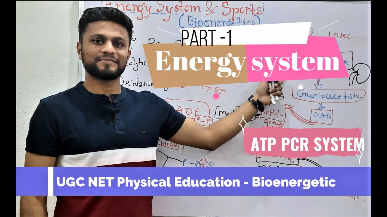 Energy System PART 1- ATP PCR System, Biochemical aspects of exercise-UGC NET Physical Education.