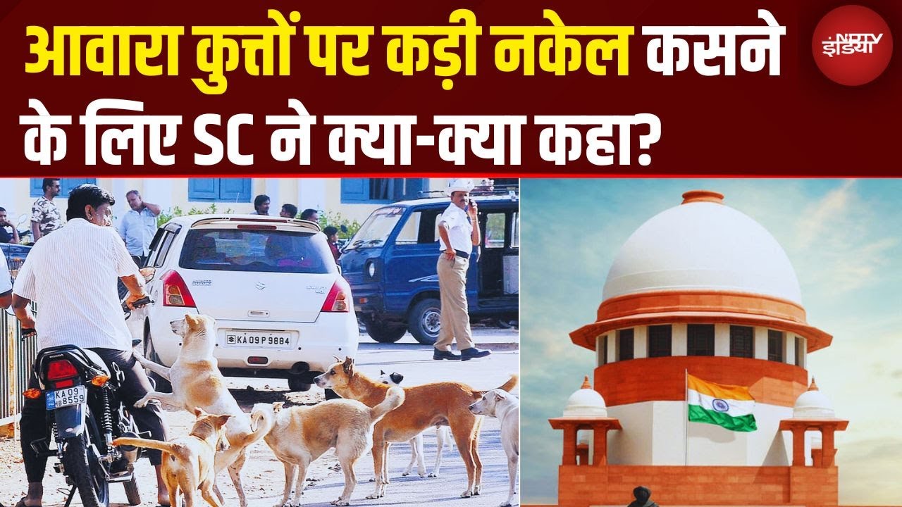 आवारा कुत्तों पर Supreme Court का सबसे सख़्त फैसला | Delhi-NCR की सड़कें होंगी Stray Dogs से खाली!