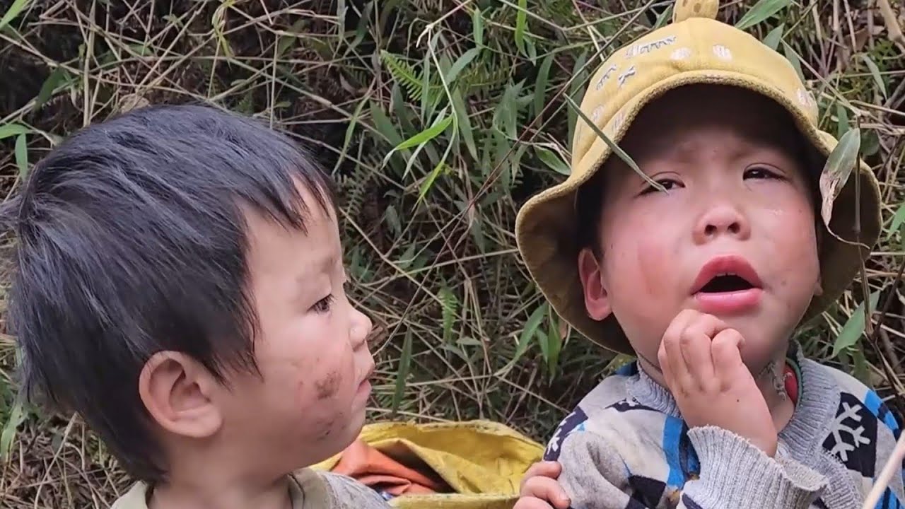 Brother and Little Sister Run Away Together | A Journey Filled with Fear & Hope”