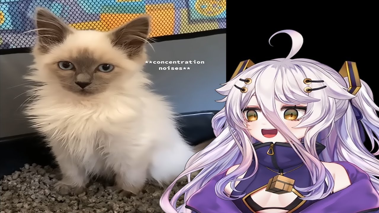 Henya reacts to daily dose of internet #5