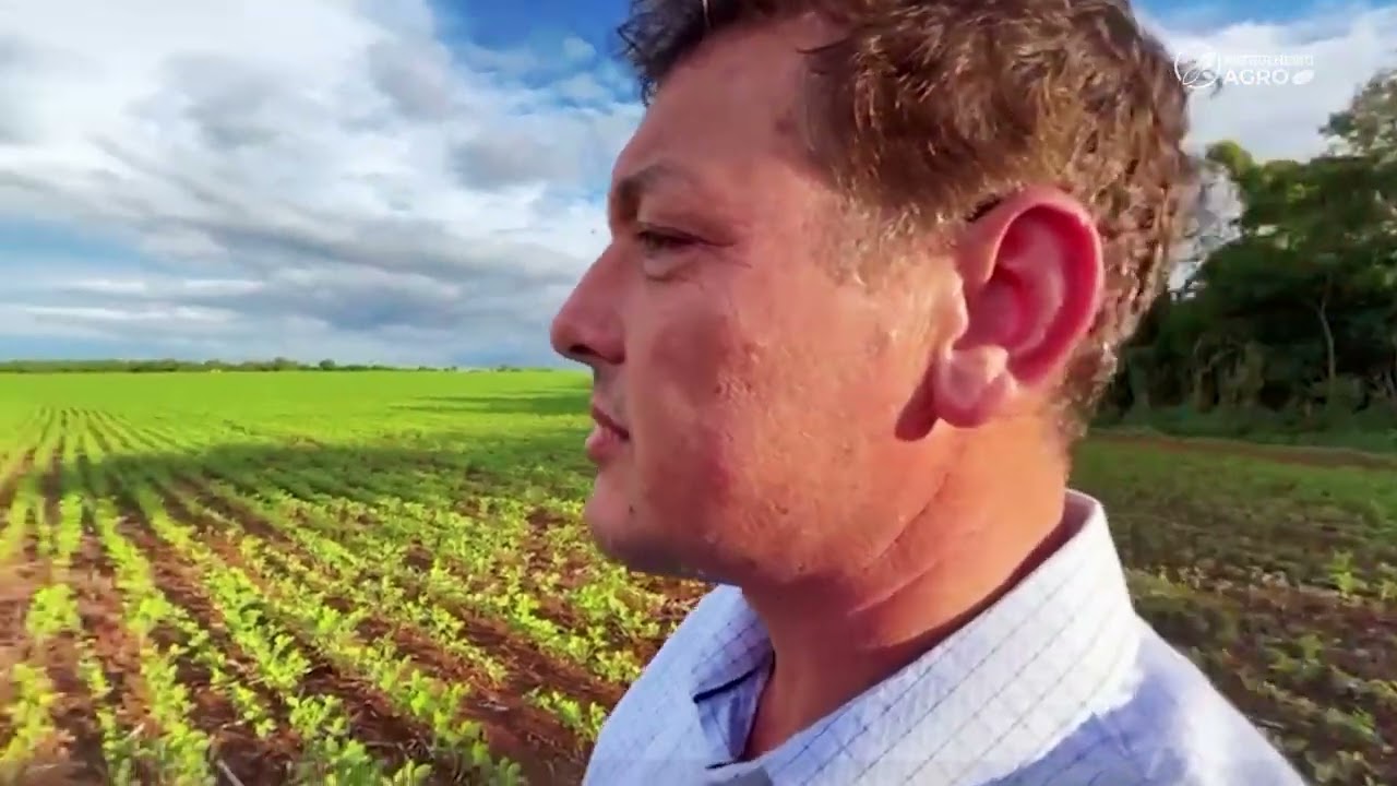 Agricultores temem perdas na soja por baixo vigor na semente em MT | Patrulheiro Agro ep. 165