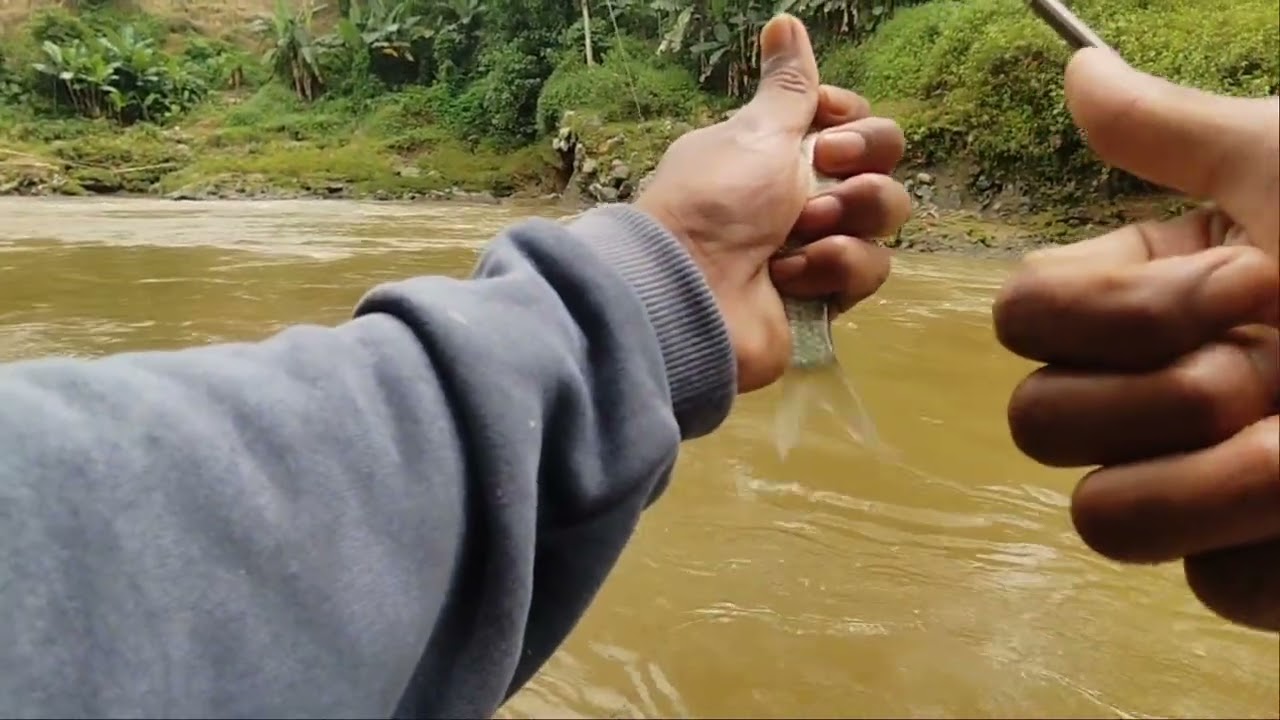 Mancing nilem tehnik nutul   (rekor terbaru 2026 emang gacor )