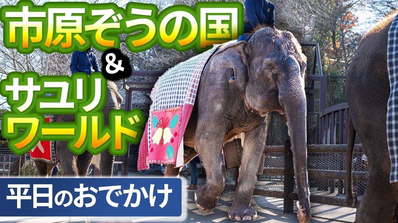市原ぞうの国＆サユリワールド