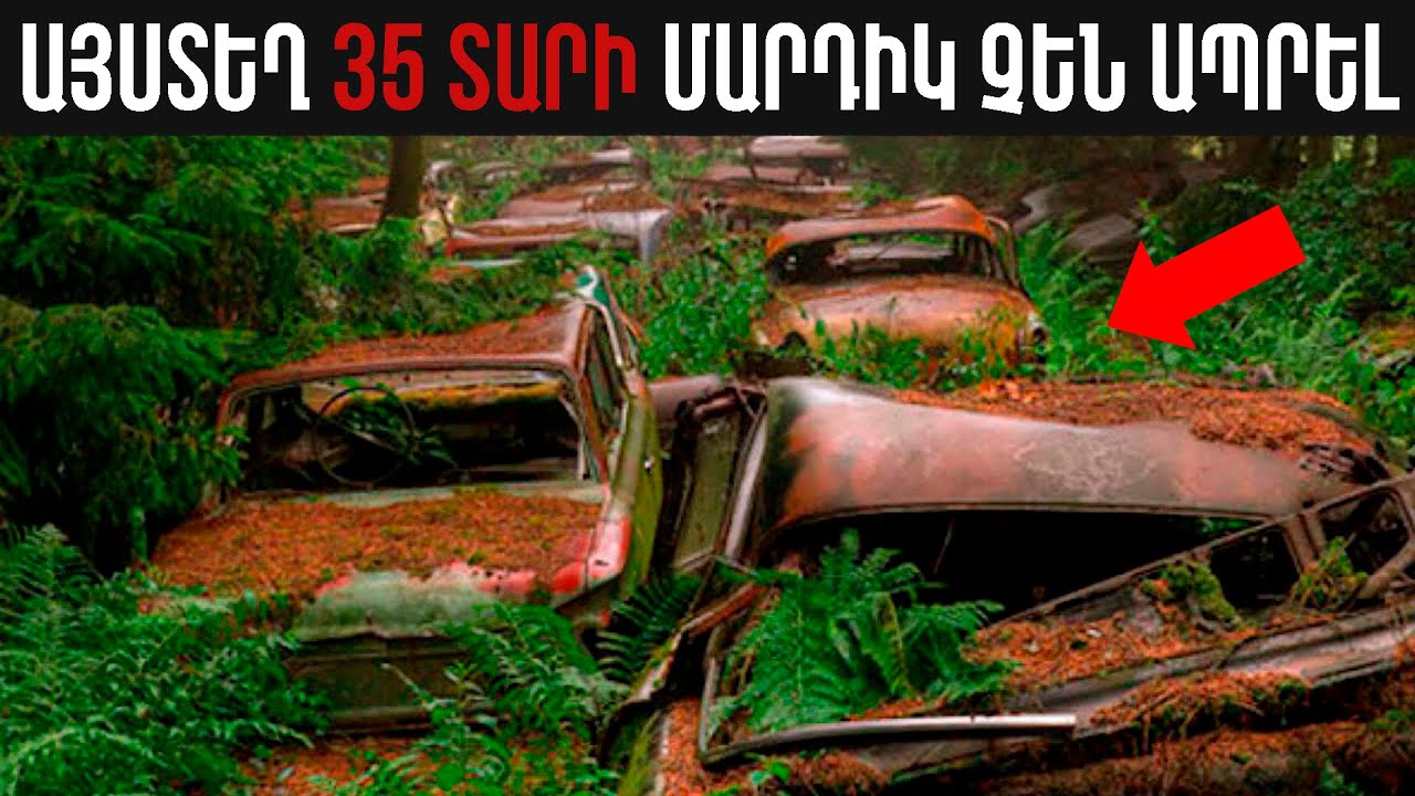 7 ՎԱՅՐ ՈՐՏԵՂ ՄԱՐԴԻԿ ՏԱՍՆԱՄՅԱԿՆԵՐ ՈՏՔ ՉԵՆ ԴՐԵԼ║ԱՅՍՏԵՂ ԻՇԽՈՒՄ Է ԲՆՈՒԹՅՈՒՆԸ