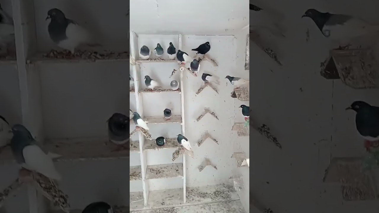 Pozdrawiam 👊