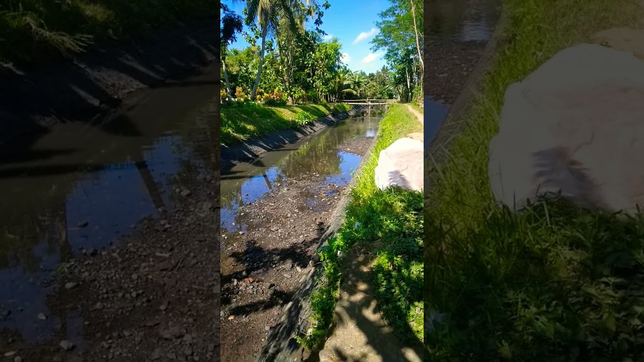 saluran sekunder