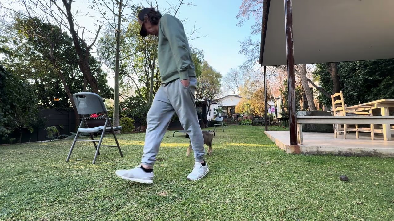 Koda 12 week old German shepherd puppy training video ⭐️⭐️ slowly adding words