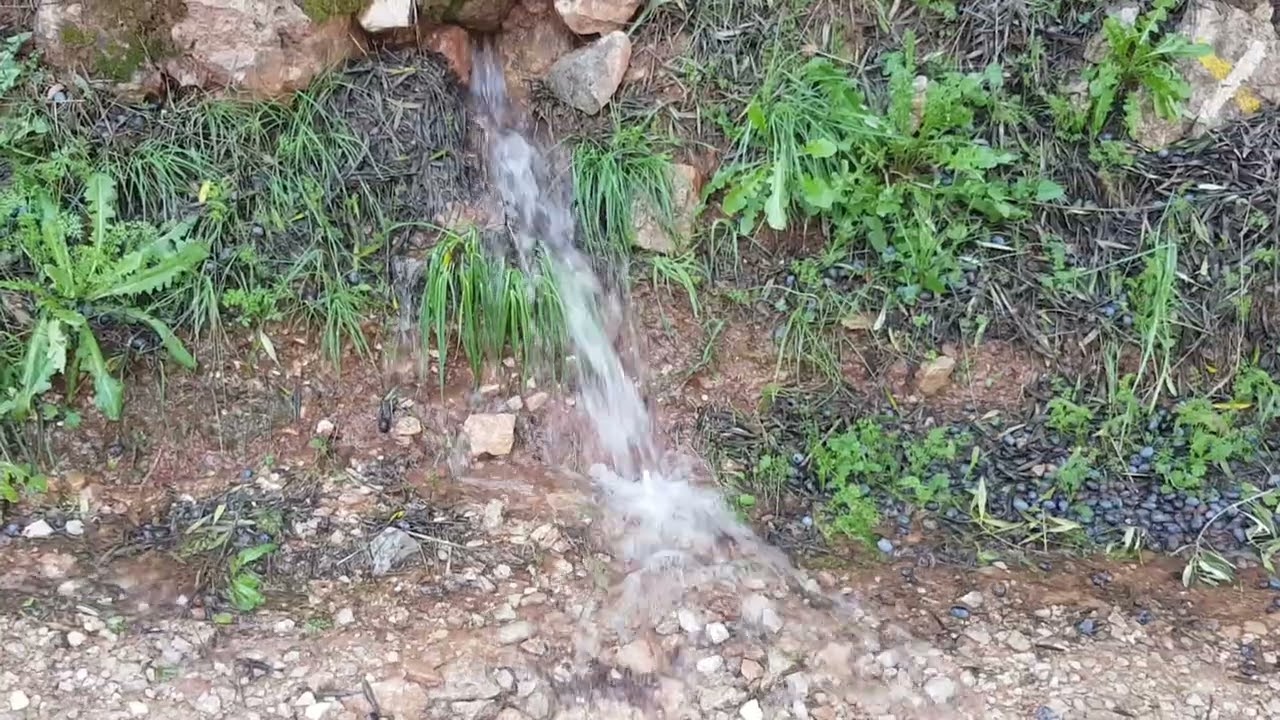 Villaverde de Guadalimar. Fuente Chica.