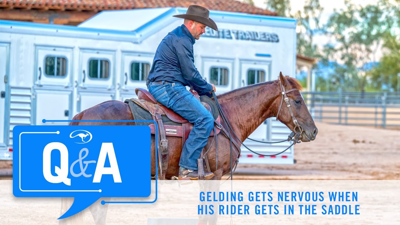 Horse Gets Nervous When His Rider Gets in the Saddle - Q&A
