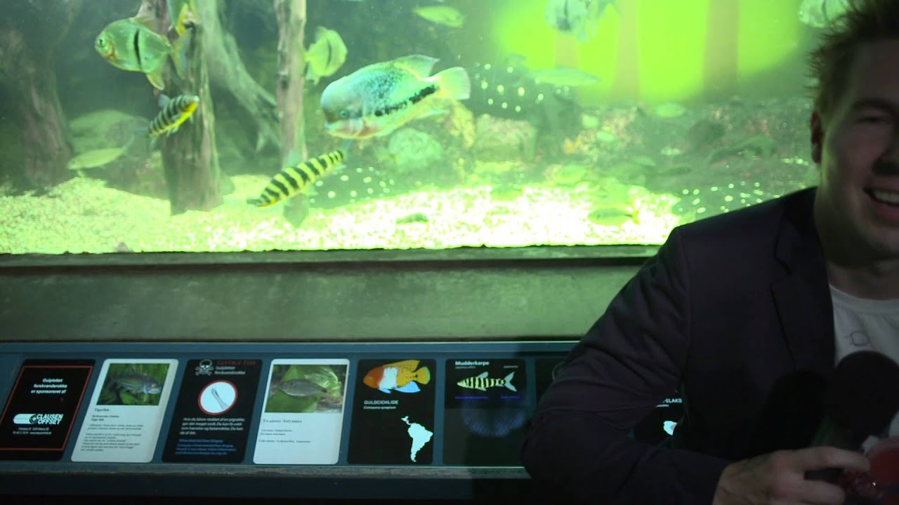 Fiskemuseet