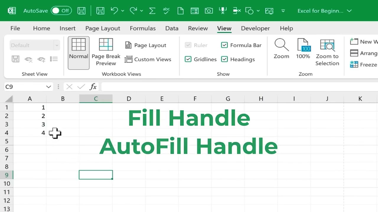 Master Excel in one complete video—from basics to advanced skills for work & career growth!