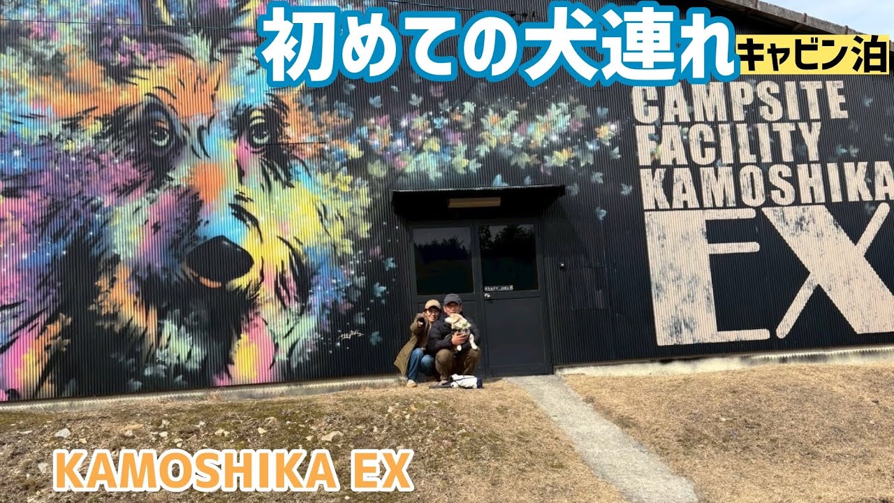 【夫婦キャンプ】元保護犬とまとと行くKAMOSHIKA EXのキャビン泊