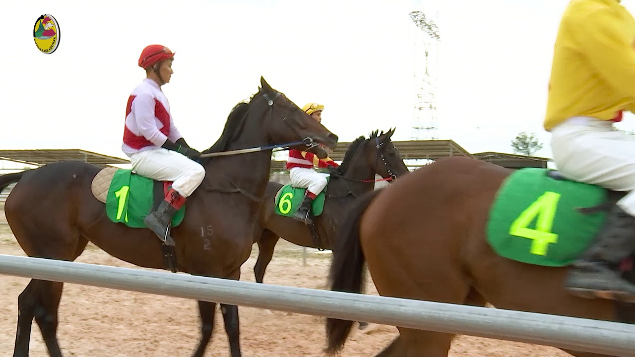 Ph&oacute;ng Sự Đua Ngựa Tại Trường Đua Đại Nam