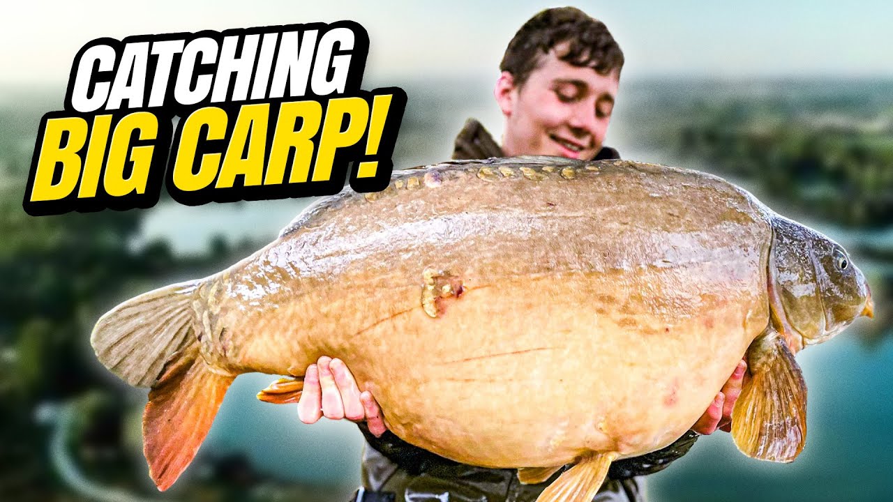 MEGA CARP FISHING SESSION AT LINEAR FISHERIES B1 VLOG WITH BEN PARKER!