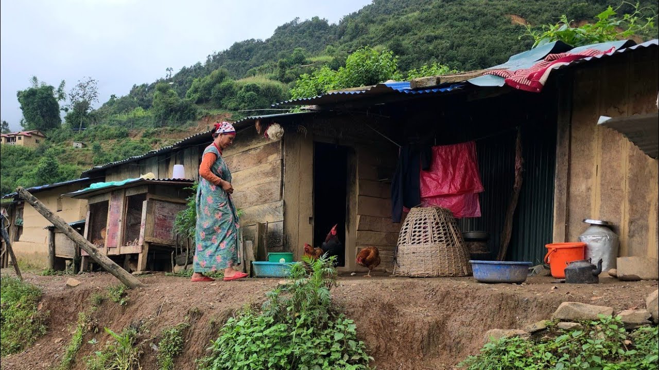 Real Nepali Mountain Village Life During the Rain | Daily Activities of Rural Village People 
