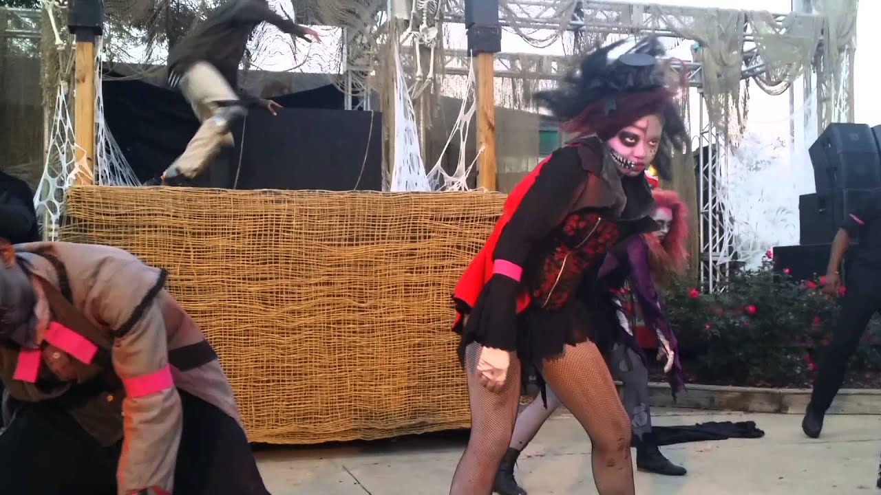 Six Flags America Awakening